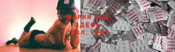гашик Алзамай
