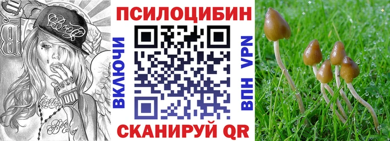 hydra ссылка  Любань  Галлюциногенные грибы Psilocybe 
